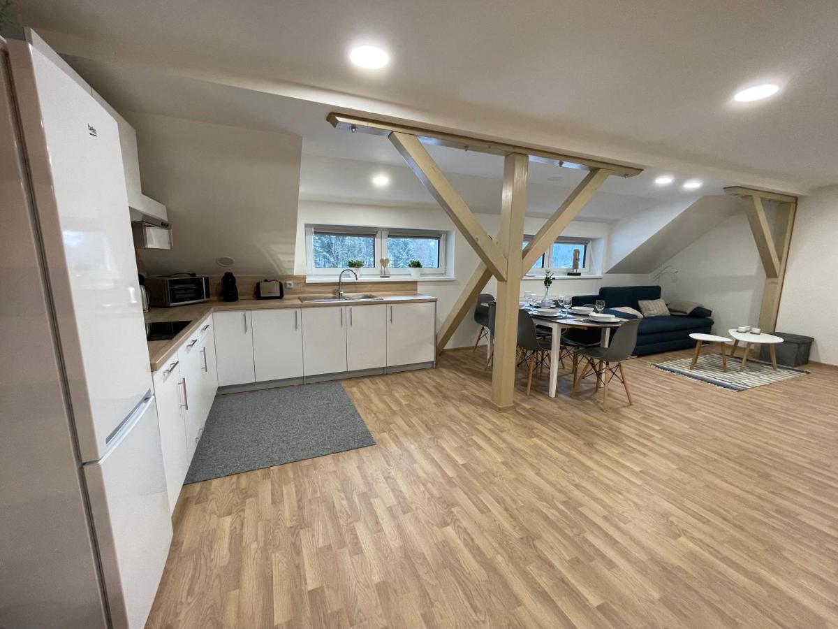Apartmány Herc Jáchymov Kültér fotó