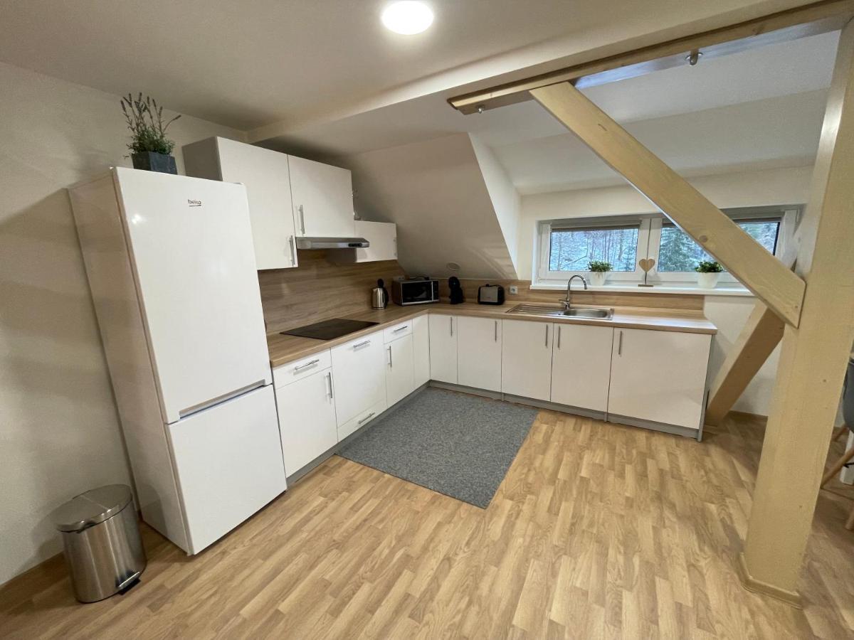 Apartmány Herc Jáchymov Kültér fotó