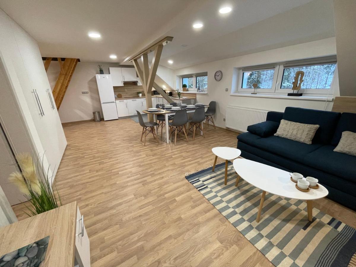 Apartmány Herc Jáchymov Kültér fotó