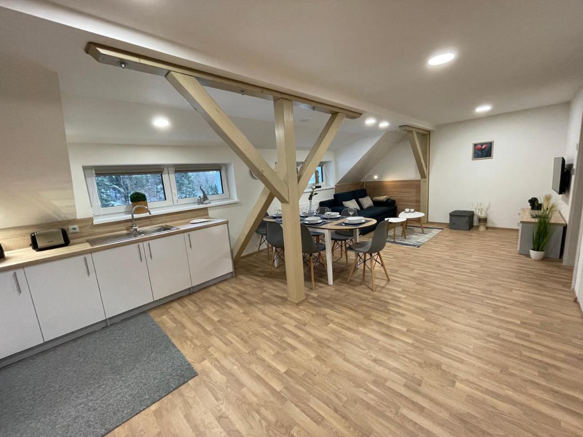 Apartmány Herc Jáchymov Kültér fotó