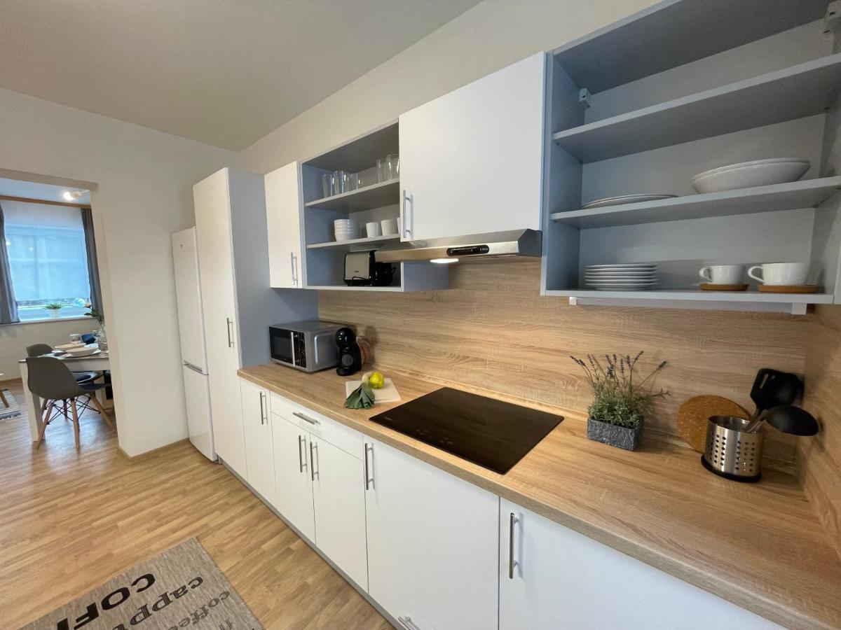 Apartmány Herc Jáchymov Kültér fotó
